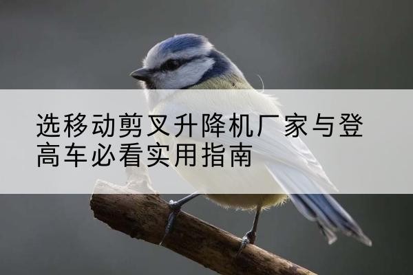静宁电动升降机厂家-选移动剪叉升降机厂家与登高车必看实用指南
