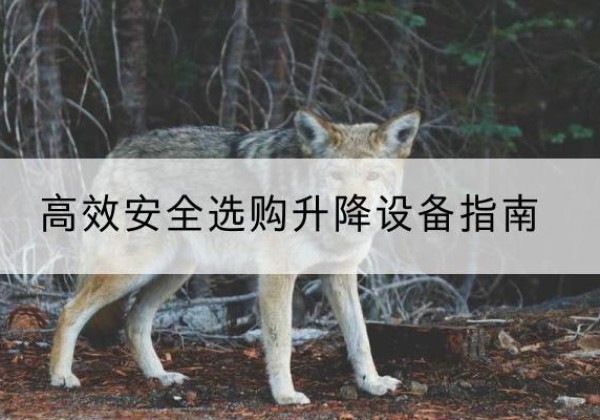 静宁升降货梯厂家推荐-*安全选购升降设备指南