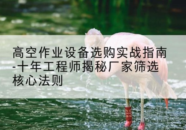静宁剪叉式升降机厂家-高空作业设备选购实战指南-十年工程师揭秘厂家筛选核心法则